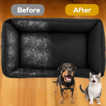 SwipeClean™ — One swipe, zero fur.